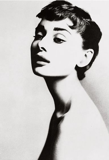 hepburn-avedon1953